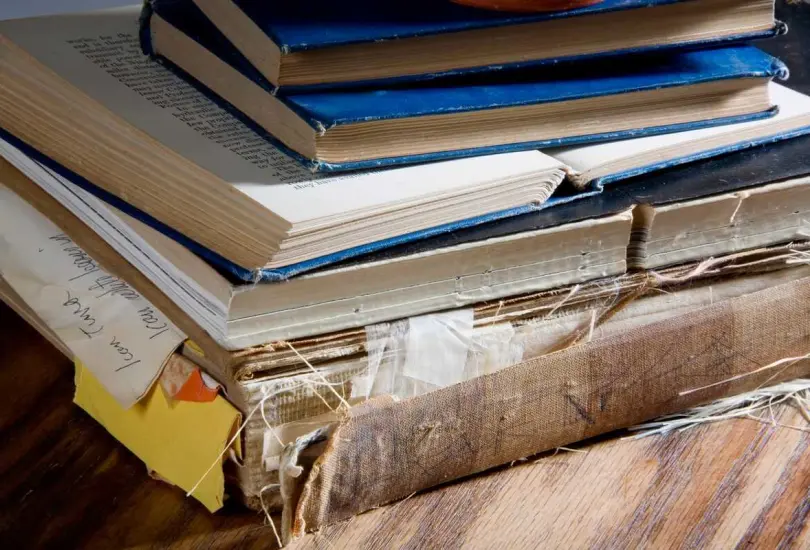 La prevención, cuarentena y limpieza son claves para mantener tus libros libres de plagas.