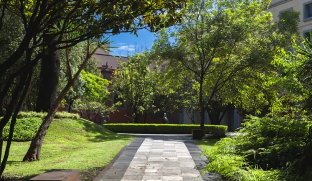 Gobierno de México.