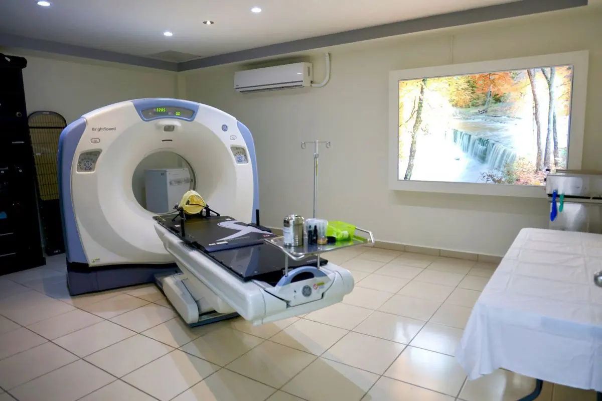 Unidad Médica Guadalupe IMSS-Bienestar Cuartoscuro