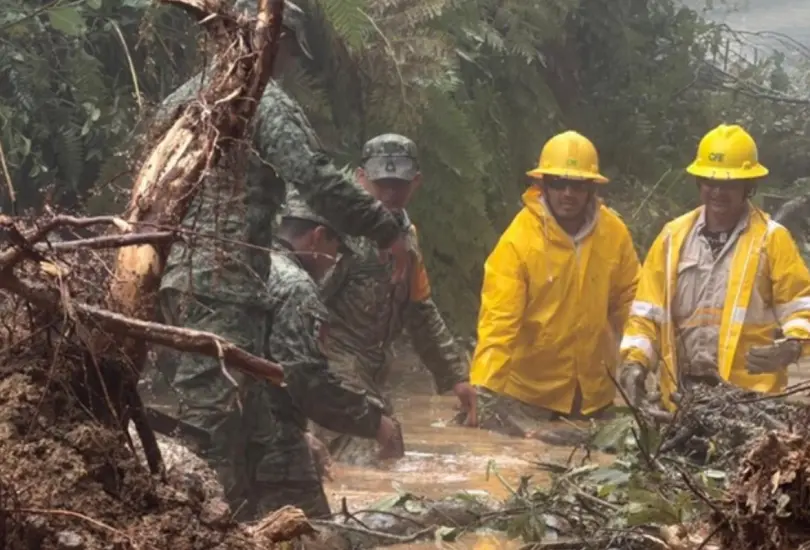 CFE restablece el 84% del servicio tras lluvias en cinco estados CFE restablece el 84% del servicio tras lluvias en cinco estados