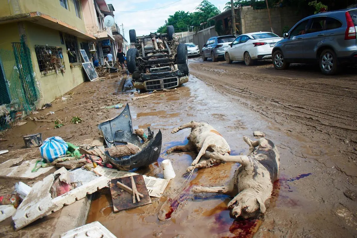 El desbordamiento del Río Cazones inundó amplias zonas del municipio y afectó a cientos de familias. Cuartoscuro.