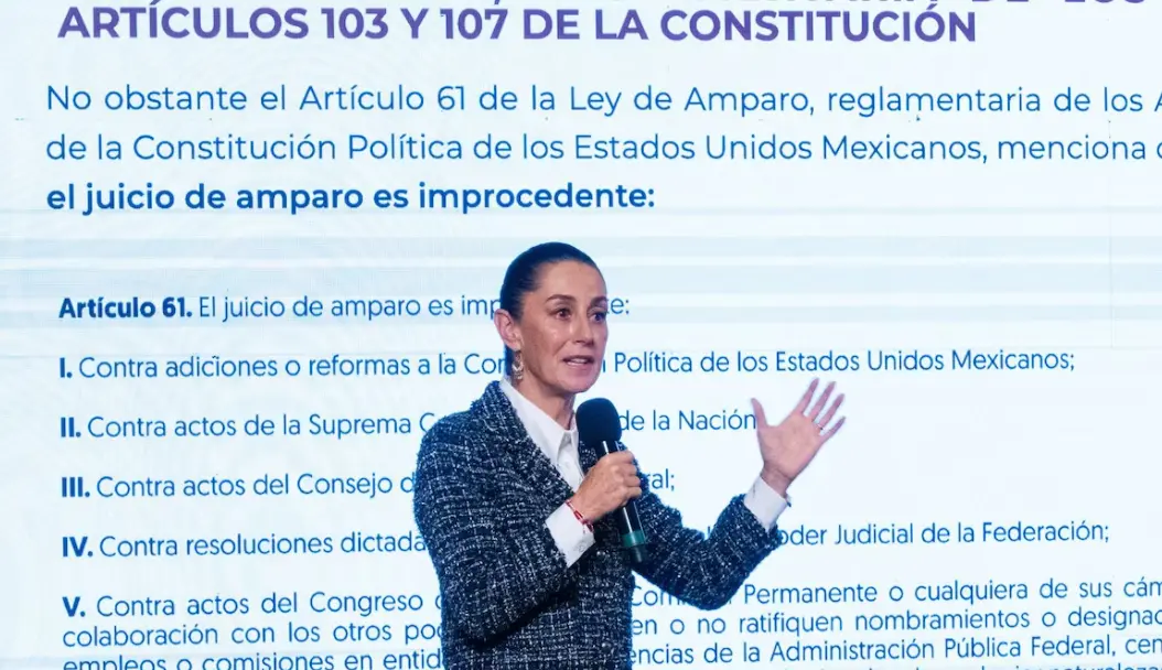 La propuesta de reforma tiene como objetivo que los recursos sean utilizados por "por quienes quieren evitar la justicia". Especial