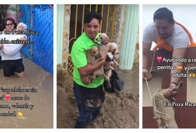 Inundaciones en Poza Rica: Ricardo arriesga su vida para salvar a abuelitos y perritos Inundaciones en Poza Rica: Ricardo arriesga su vida para salvar a abuelitos y perritos