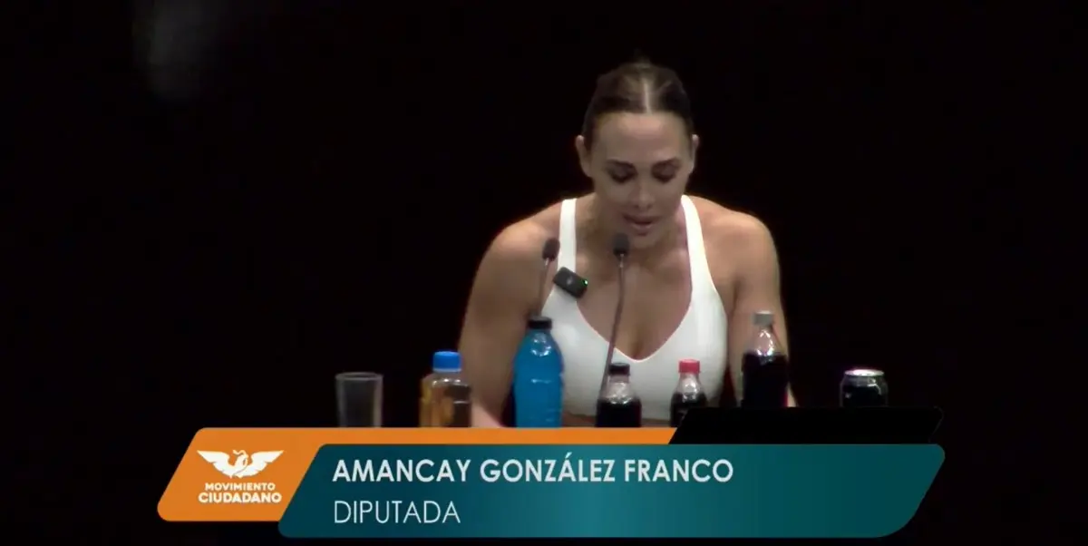 C&aacute;mara de Diputados. 