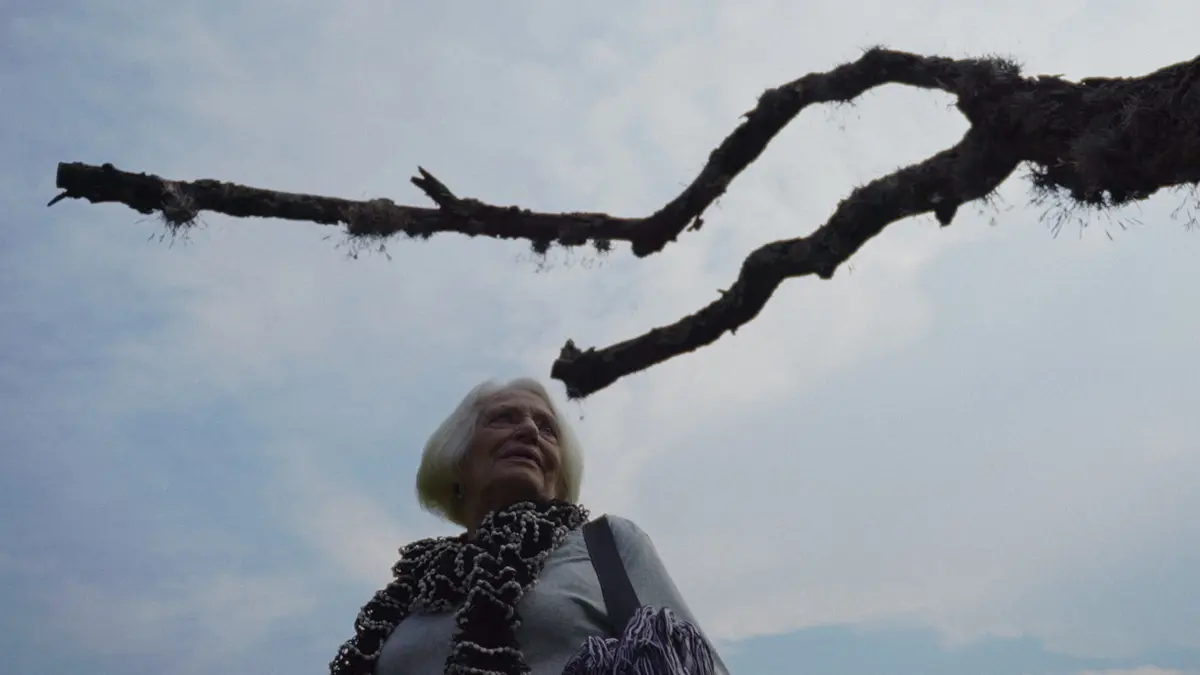 Ávia, el jardín de la memoria Cortesía Somos Piano