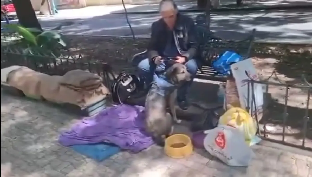 Captura de pantalla.