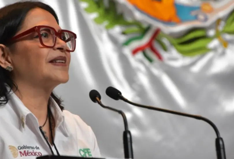 Emilia Calleja, directora de la CFE. Emilia Calleja, directora de la CFE.