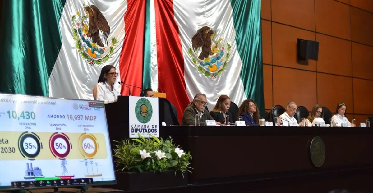 Emilia Calleja acudió a la Cámara de Diputados. CFE.