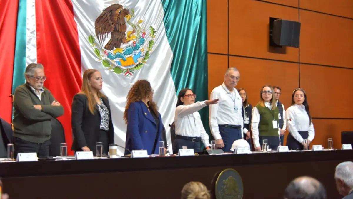 Emilia Calleja compareció ante la Cámara de Diputados. CFE.