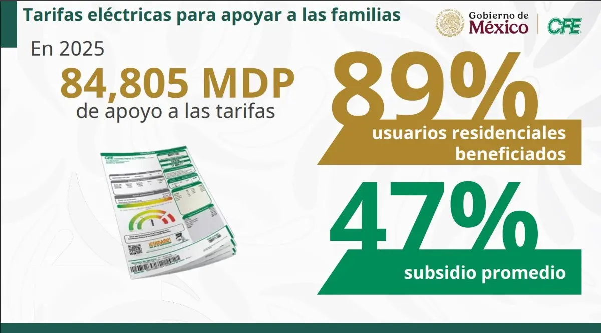 Los subsidios de la CFE. CFE.