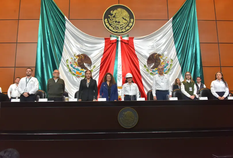 Comparecencia Emilia Calleja en la Cámara de Diputados. Comparecencia Emilia Calleja en la Cámara de Diputados.