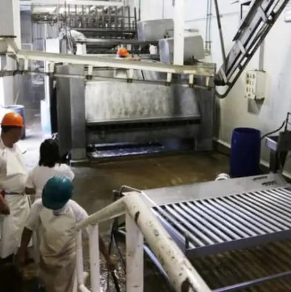 Gobierno municipal reporta avances en control sanitario del Rastro de Puebla Gobierno municipal reporta avances en control sanitario del Rastro de Puebla