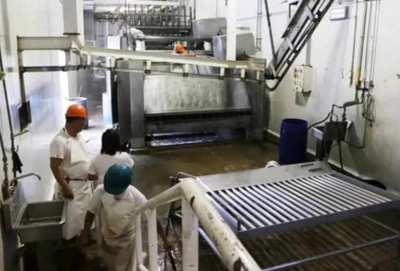 Presentan resultados sobre el rastro en Puebla. Presentan resultados sobre el rastro en Puebla.